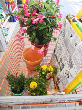 [spring_2013%255B3%255D.jpg]