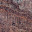 untitled album - 294.jpg