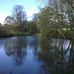 IMAG0037.jpg
