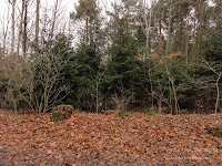 dsc05372.jpg
