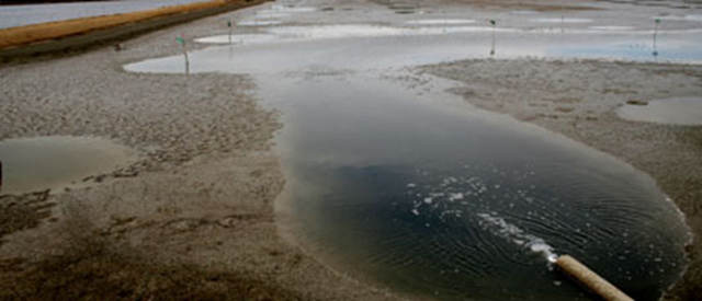 An 'organic' shrimp farm in Ecuador. naturskyddsforeningen.se