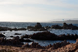 DSC_0607.JPG