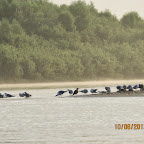 IMG_6476.JPG