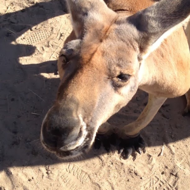 [2013-09-02_1378133764%255B3%255D.jpg]