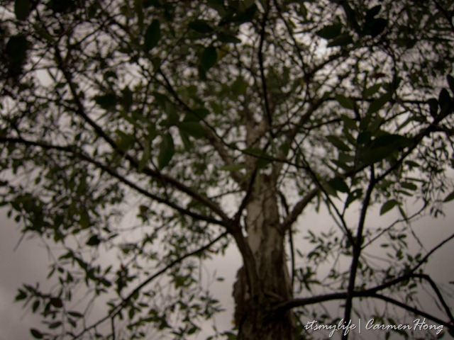 [IMG_2483%255B3%255D.jpg]