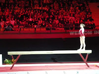 gala11.jpg gala11.jpg