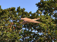 DSC_7293.jpg