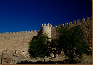 Avila walls