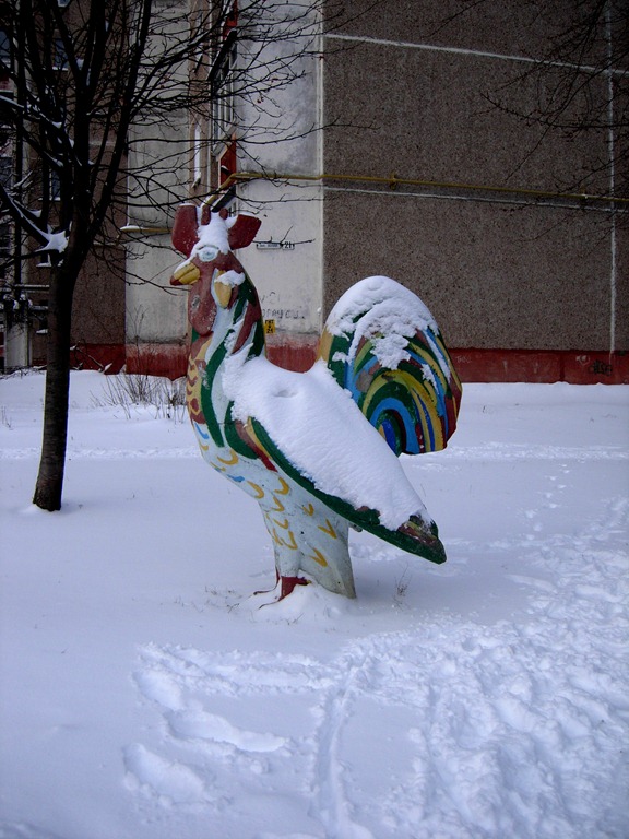 [DSCN43353.jpg]