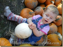 Picture 039