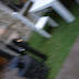 R0027897.JPG