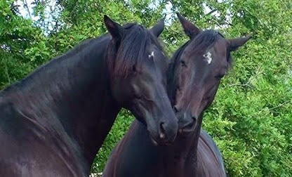 [20140911105813-%25285%2529%255B3%255D.jpg]