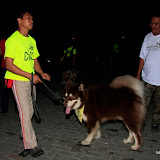 Pet Express Doggie Run 2012 Philippines. Jpg (1).JPG