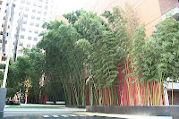IMG_4238.JPG