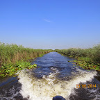 IMG_5712.JPG