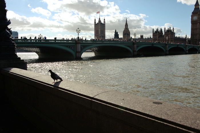 Centrallondon 25