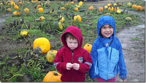 pumpkinpatch