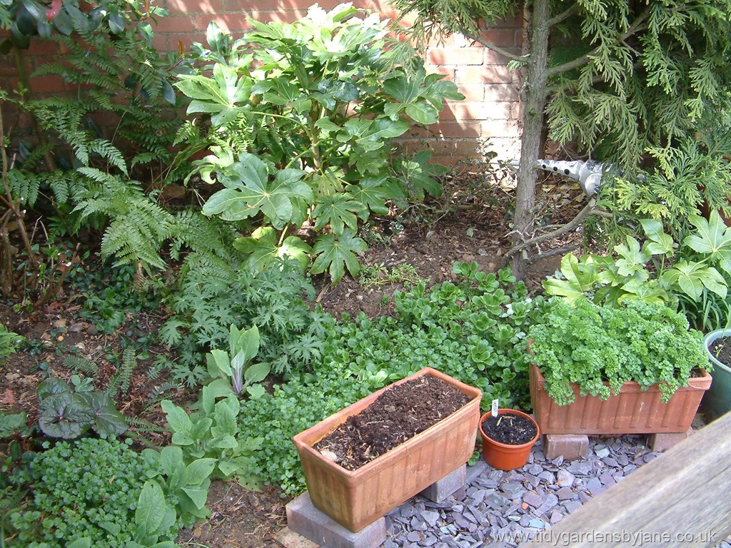 [DSCF00413.jpg]