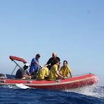 IMG_3831.JPG