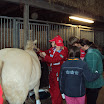 DSC01836.JPG