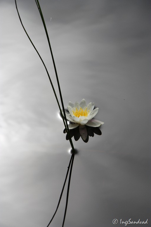 [IMG_0644%255B4%255D.jpg]
