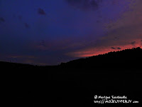 Puszcza Notecka podświetlona zmrokiem...