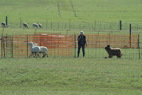 DSCF2874.JPG
