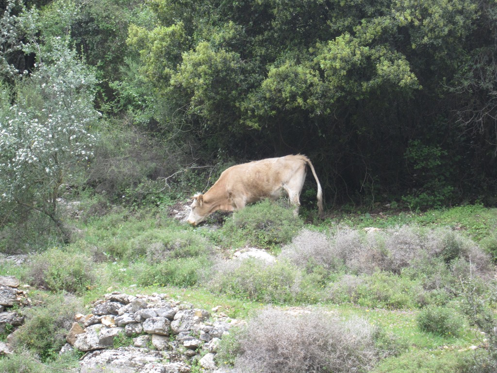 [IMG_4322%255B3%255D.jpg]