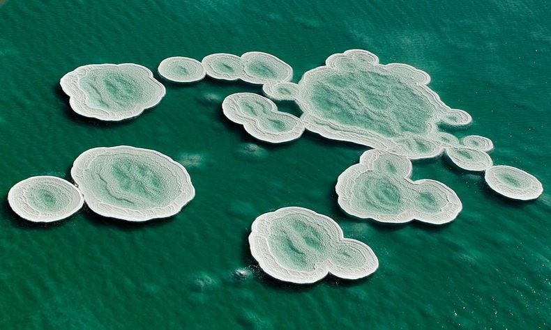 الترسبات الملحية في البحر الميت بأشكال مدهشة ومذهلة  Dead-sea-salt-crystals-0%25255B2%25255D