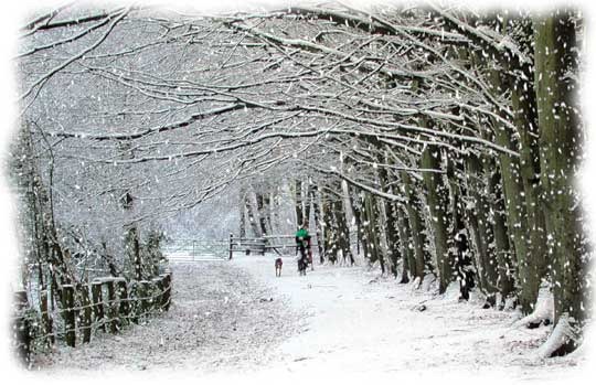 [snow-scene-finish1%255B3%255D.jpg]