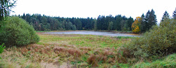 Der Teich Maršov mit seinen drei Deichen
 - Panorama