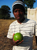 South Africa - 235.JPG