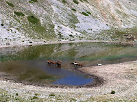 IMG_1536.JPG