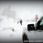 IMG_7937.JPG