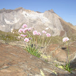 Glacier d'Ossoue