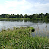 ujście rz.Nysy Łużyckiej do rz.Odry dsc05664.jpg