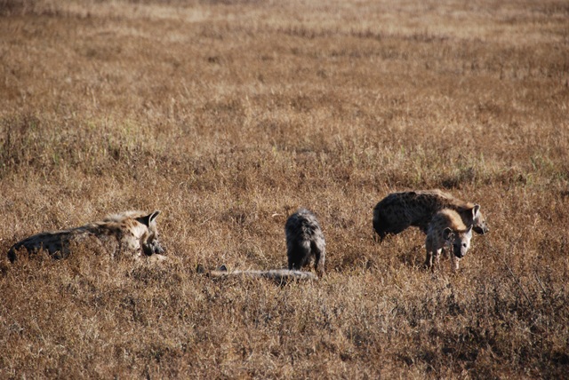 [DSC_56646.jpg]