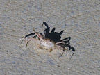 DSCN7493.JPG