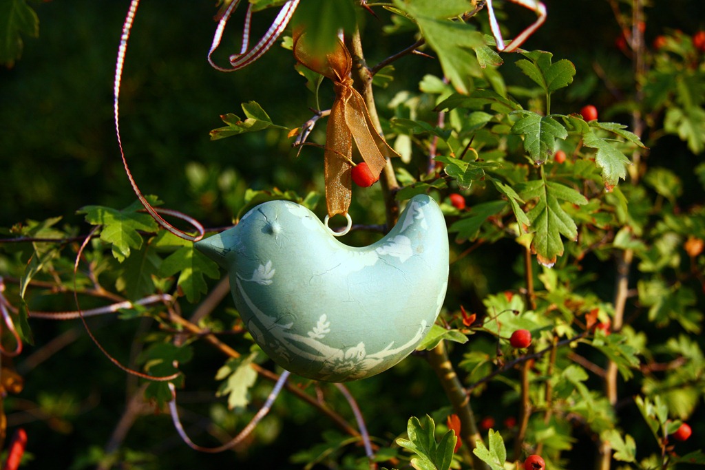 [L%2527uccellino%2520Flo-11%255B15%255D.jpg]