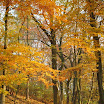 DSC_0323.jpg