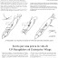 l'aquilone - numero 144