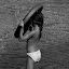 St Tropez St Tropez