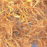 Coconut Lumber Processing - July 2007
