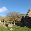 Jane Treacy - Dingle Graveyard.jpg