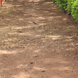 IMG_0147.JPG