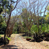 The Entrance at the Garden of the Sleeping Giant - Port Denarau, Fiji