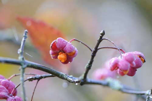 20101031_100452
