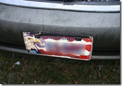 deer collision 06
