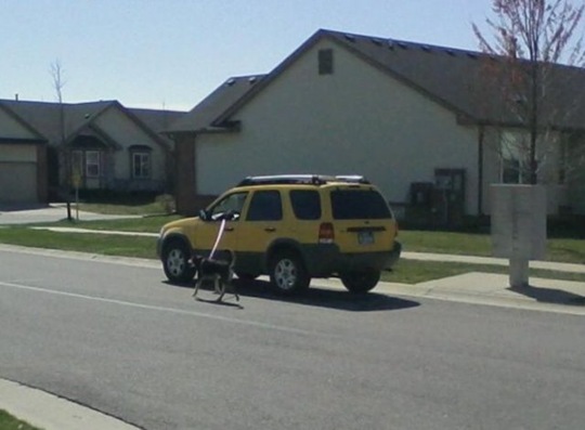 [viral-picdump-d78bf9%255B2%255D.jpg]
