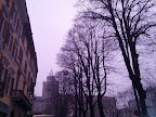 IMG_20121223_165634.jpg